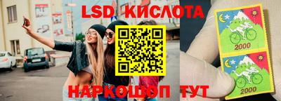 молекула духа Краснознаменск