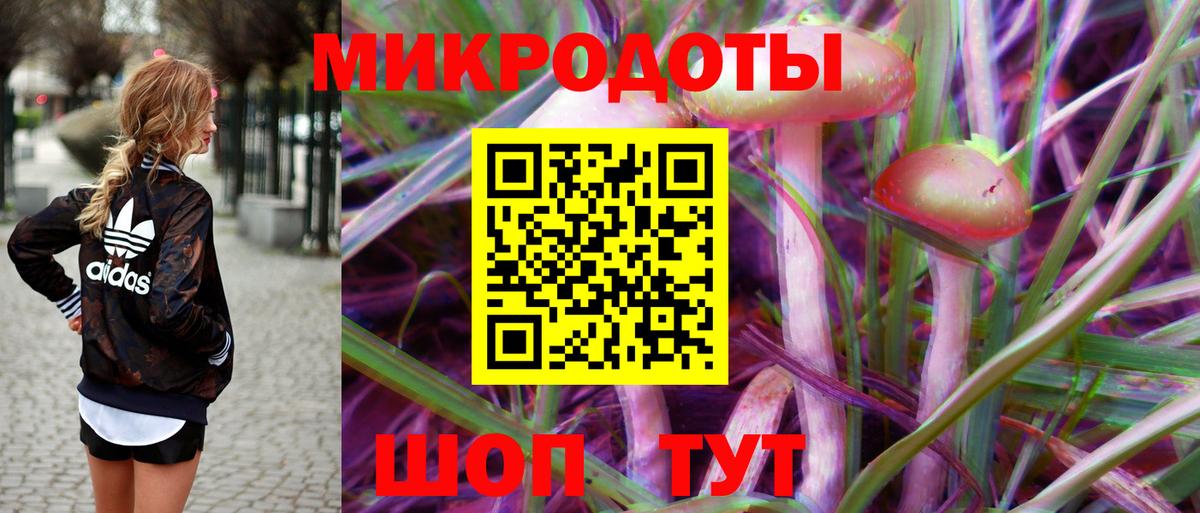 Ишим  Псилоцибиновые грибы ЛСД  Вход с VPN  Псилоцибиновые грибы Magic Shrooms 
