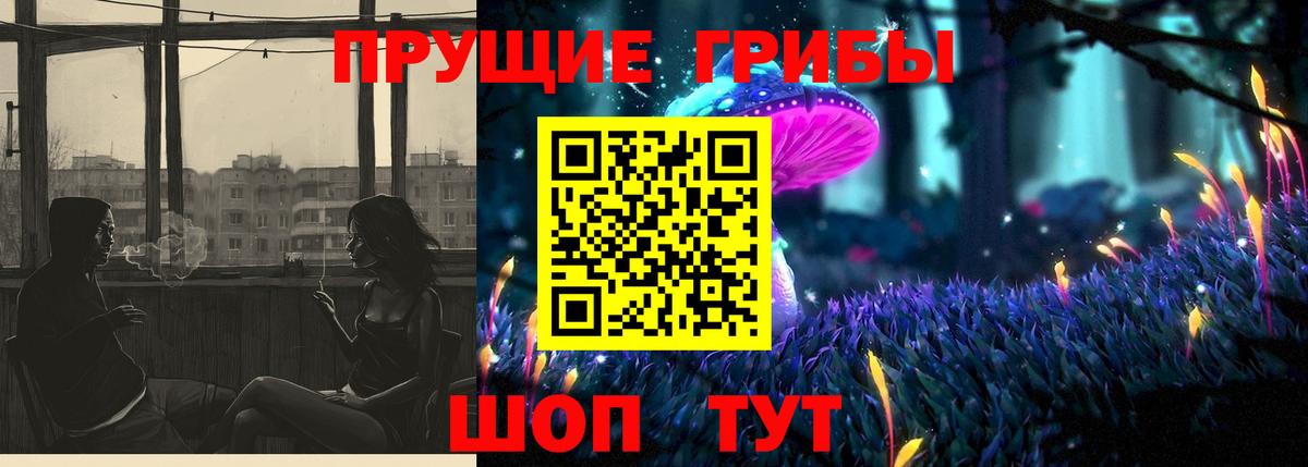 Псилоцибиновые грибы Psilocybe Ишим
